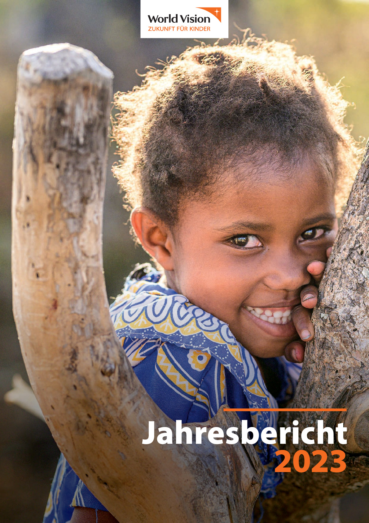 Jahresbericht 2023.pdf