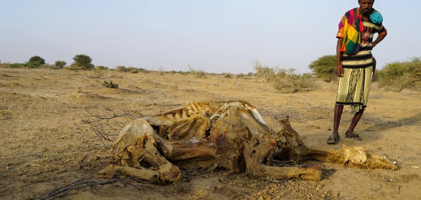 Dürre in Somalia