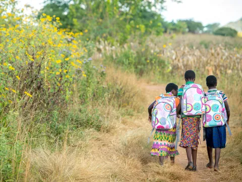 World Vision Stiftung: Löwenzahn Stiftungsfonds