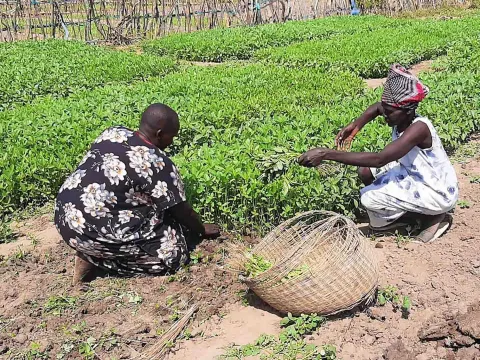Gemeinsam mit der KFW Entwicklungsbank unterstützt World Vision die landwirtschaftliche Infrastruktur