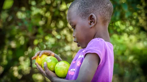 Kamamas Mutter hat dank dem sauberen Wasser eine Obstplantage