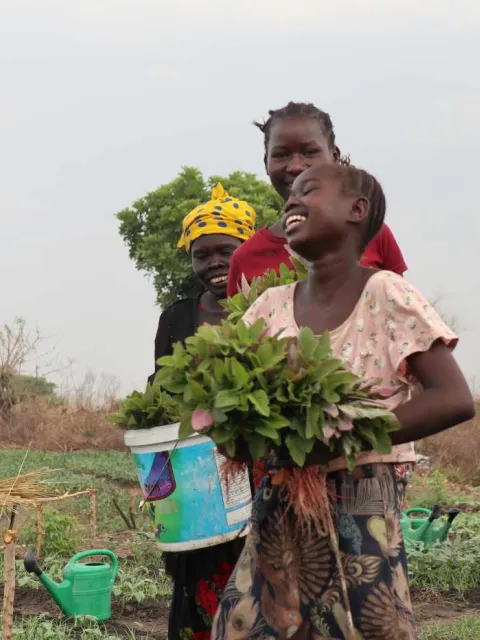 Nutrition_Sudan