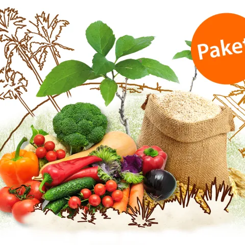 Sinnvolles Geschenk: Paket 10x Zukunft