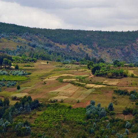 Landschaft in Burundi