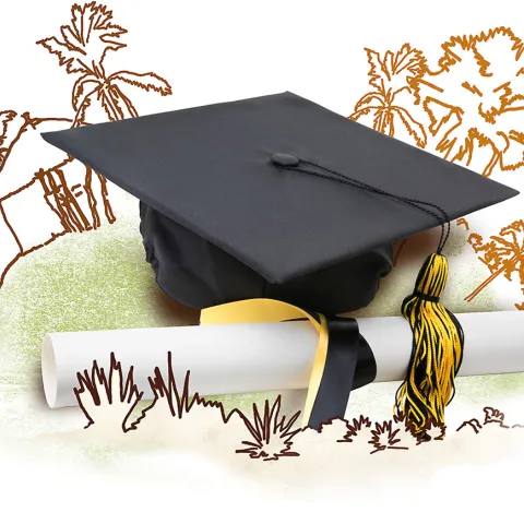 Sinnvolles Geschenk: Ausbildung