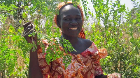 Alice im Moringa-Garten