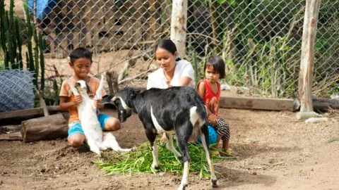 Foto Vietnam Erfolgsgeschichten