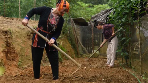 Vietnam Schwerpunkt Einkommen